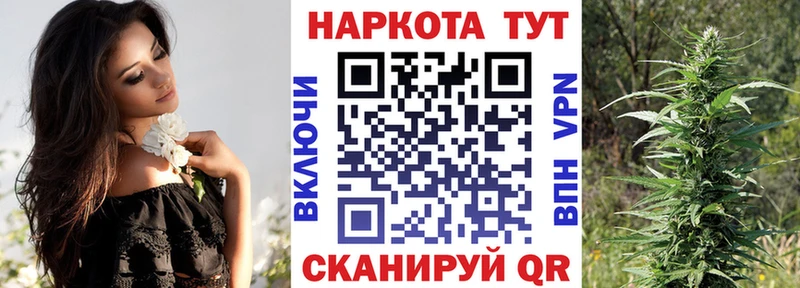 Где купить наркотики Чкаловск Марихуана  СК  БУТИРАТ  ГАШИШ 