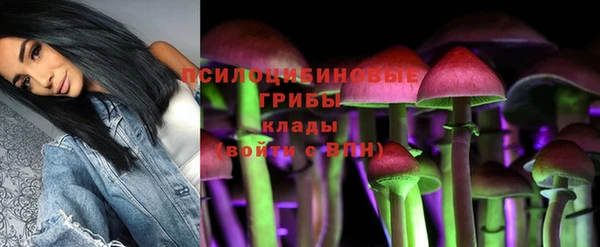 jwh Осинники