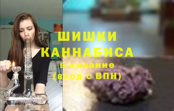 прущие грибы Осташков