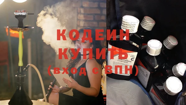 прущие грибы Осташков